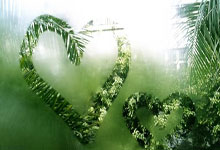 阿贾克斯青训传承继续，未来之星崭露头角