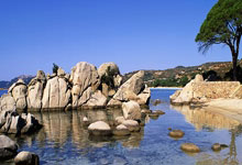 拜仁慕尼黑首发核心回归，球队稳固防线