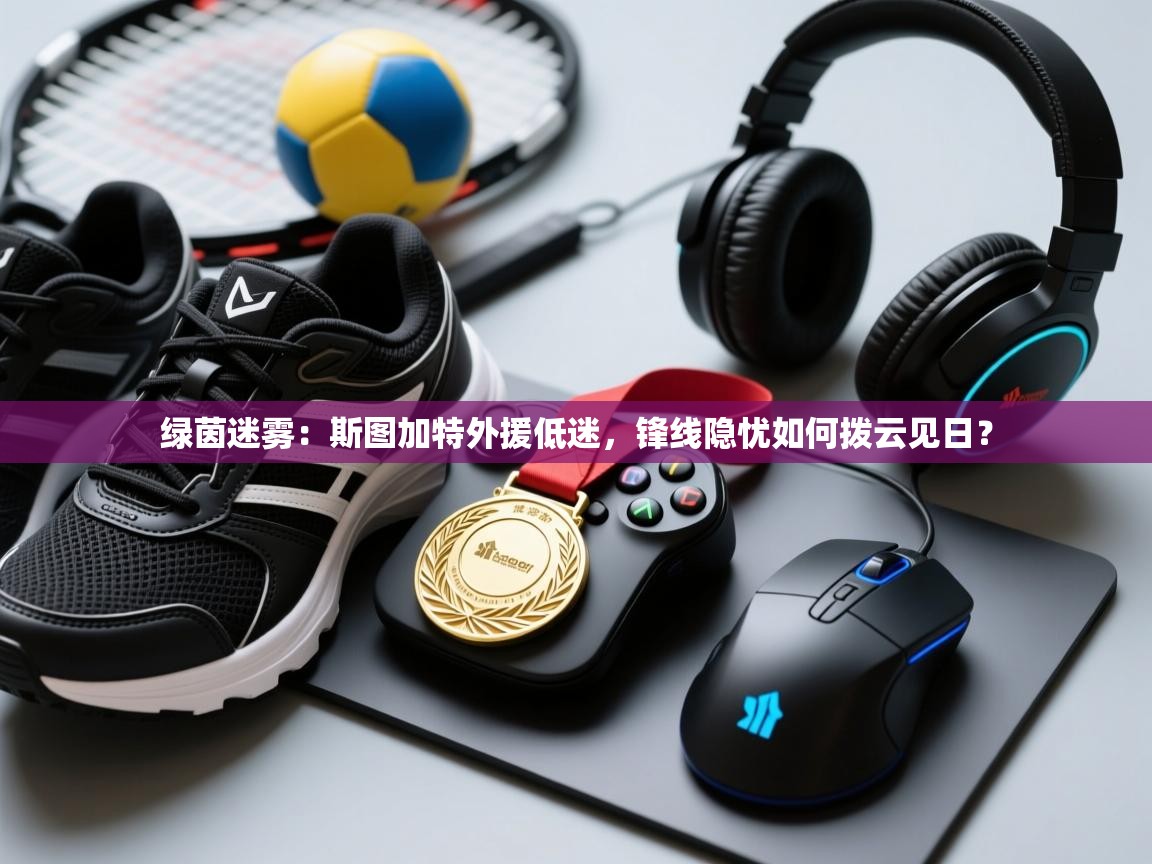 绿茵迷雾:斯图加特外援低迷,锋线隐忧如何拨云见日? 第1张